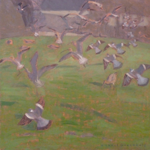Curlews and Woodpigeons