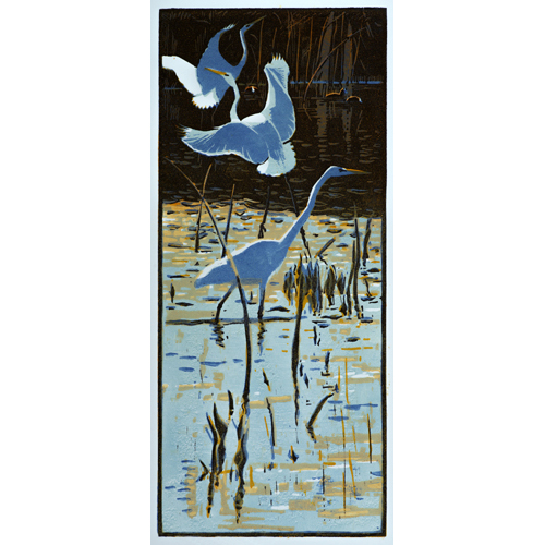 Great White Egrets