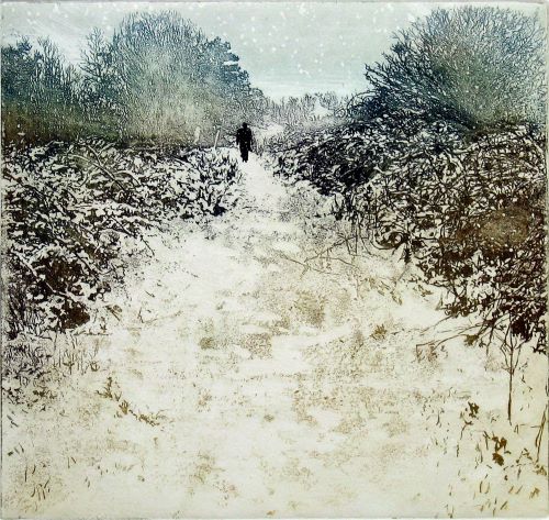 The Old Railway Line
