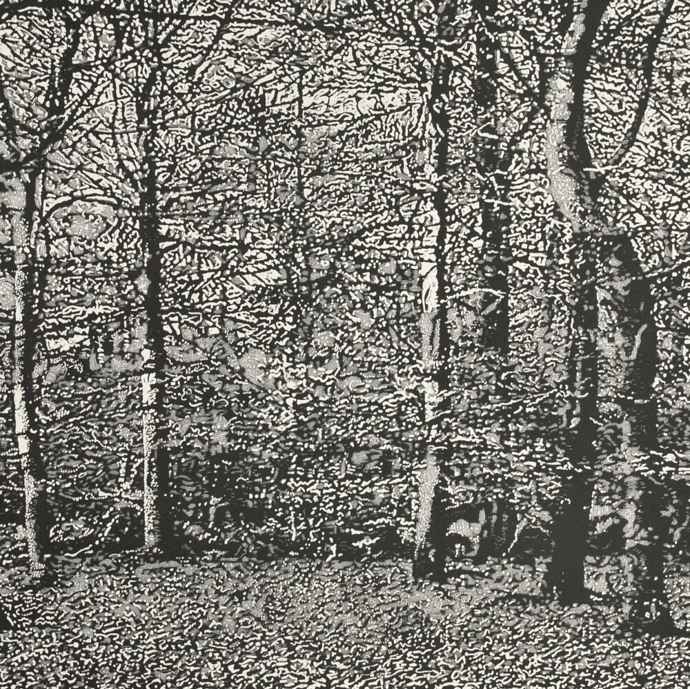 Woodland II