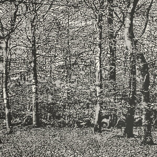 Woodland II