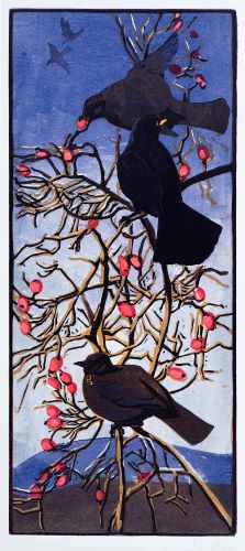 Blackbirds and Rosehips