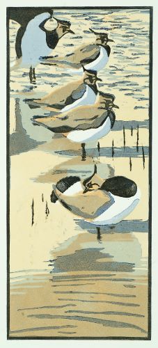 Five Lapwings