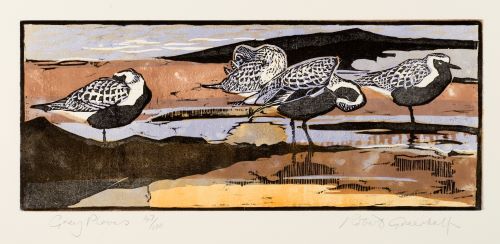 Grey Plovers