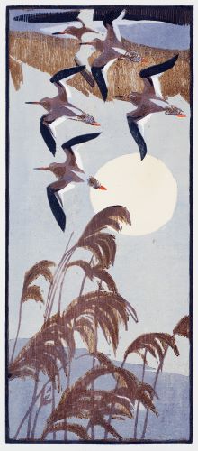 Redshanks and Reeds