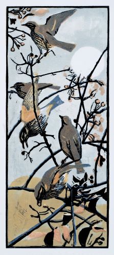 Redwings
