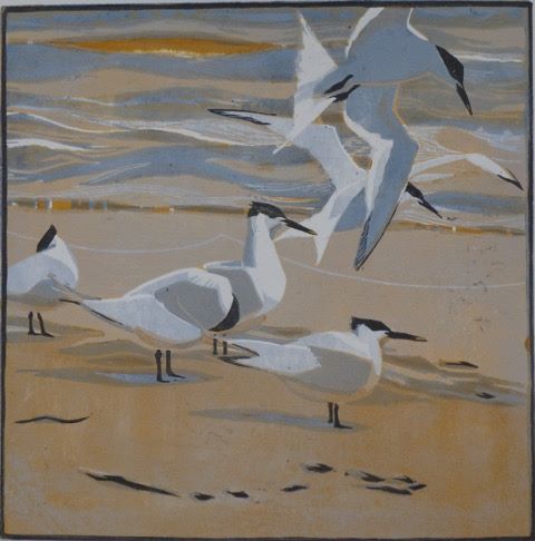 Tideline Terns