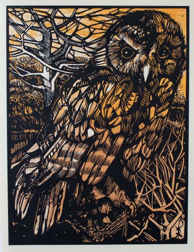 Stonegate Owl