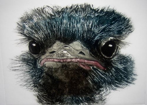 Another Bad Hair Day