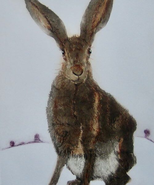 Hare Say