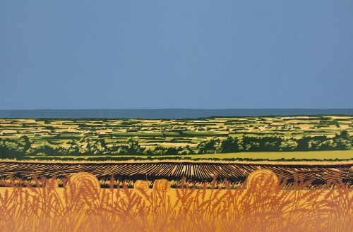 Summer Harvest