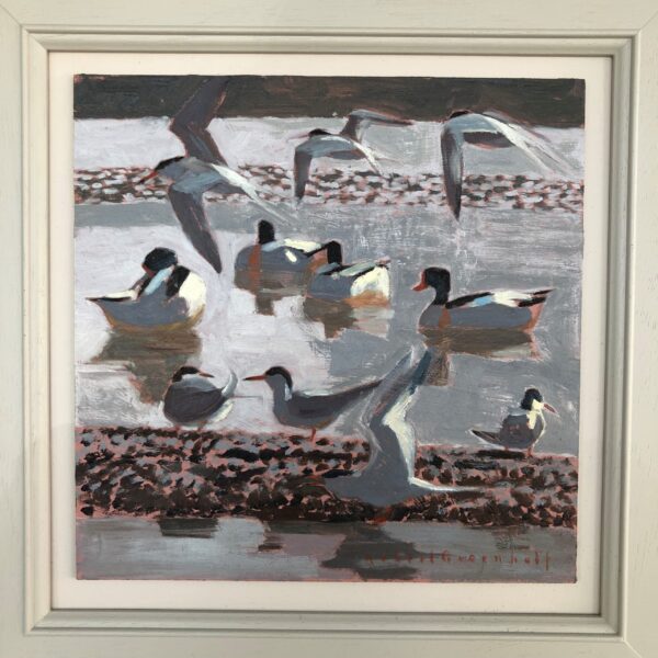 Common Terns, and Shelducks
