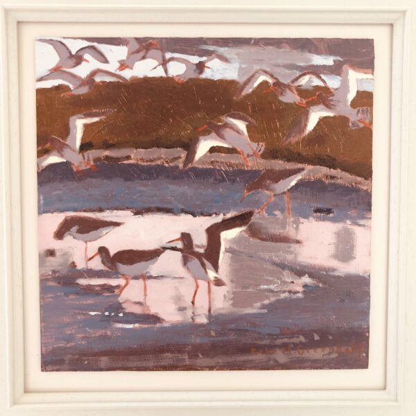 Redshanks