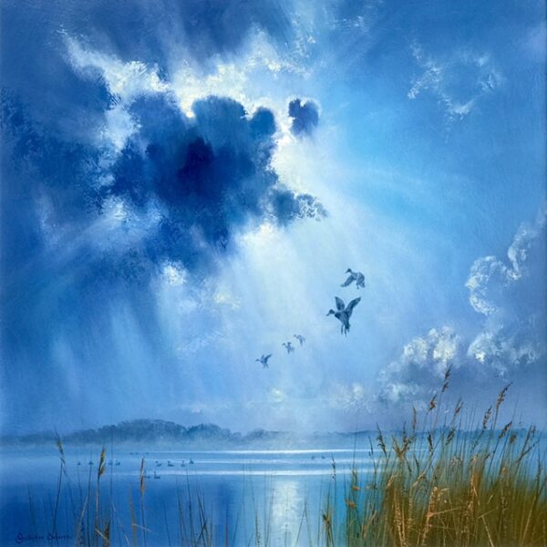 Indigo Morning