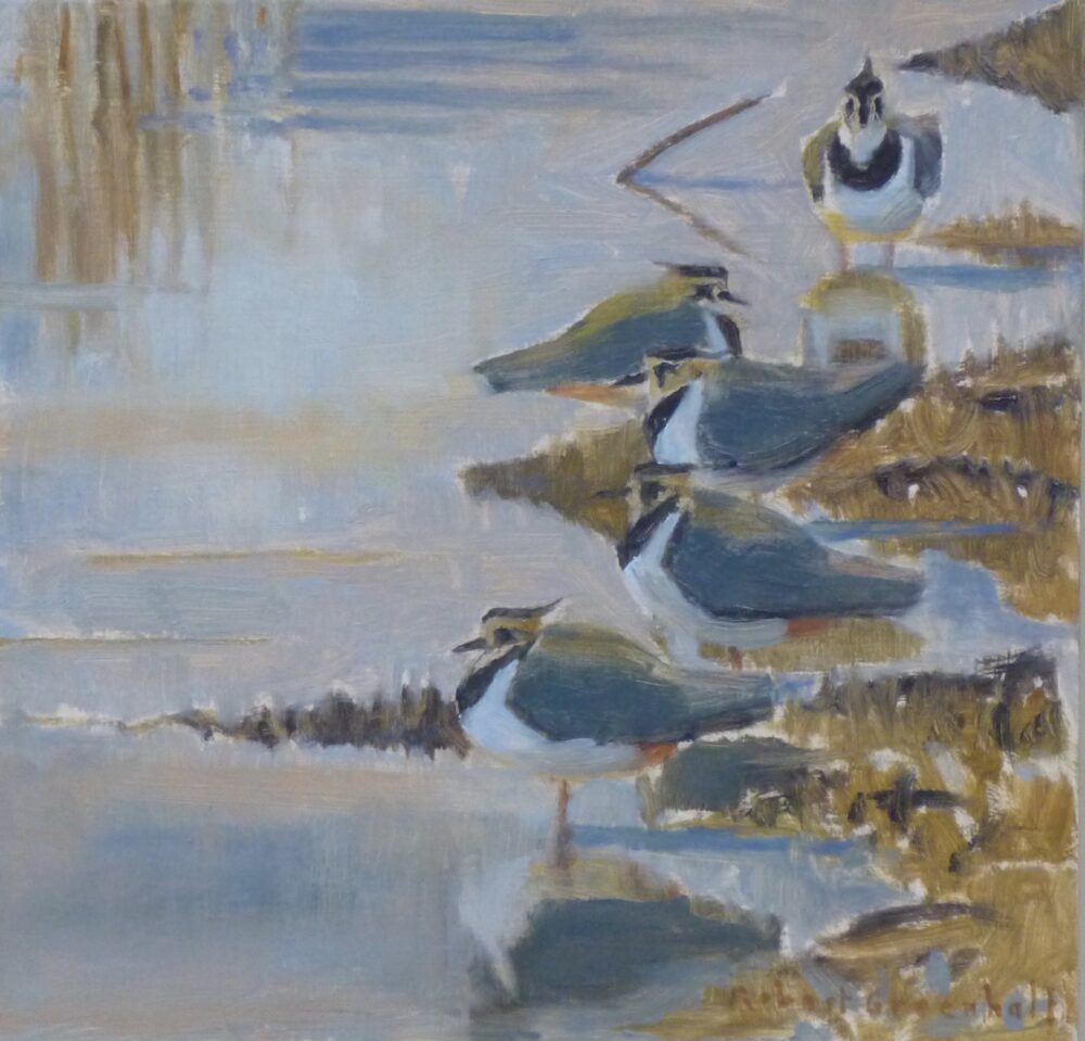 Five Lapwings