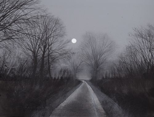 Under the Light of the Moon