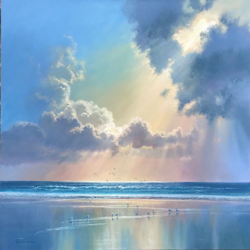 Tideline Sunlight