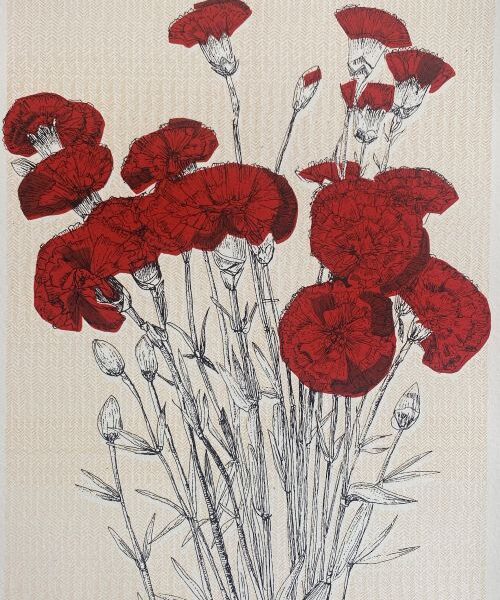 Spanish Carnation