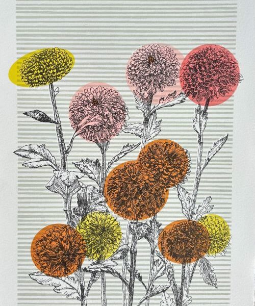 Japanese Chrysanthemum