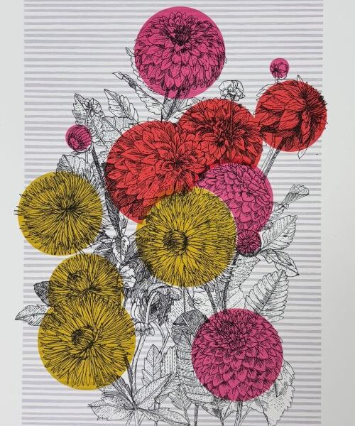 Mexican Dahlia