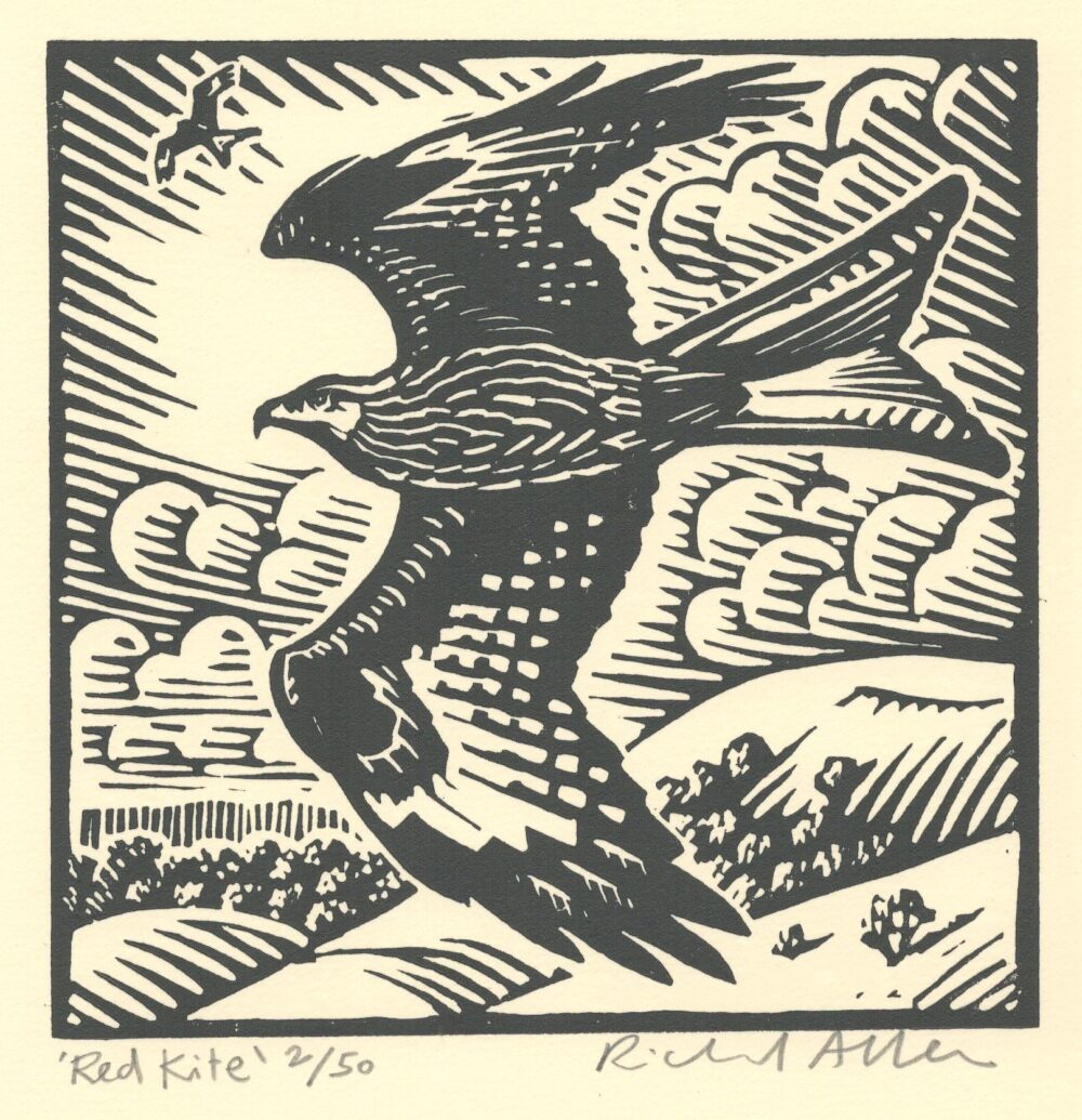Red Kite