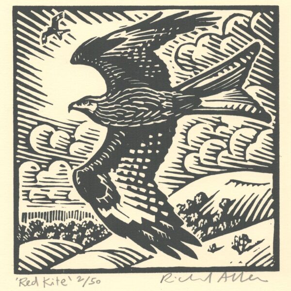 Red Kite