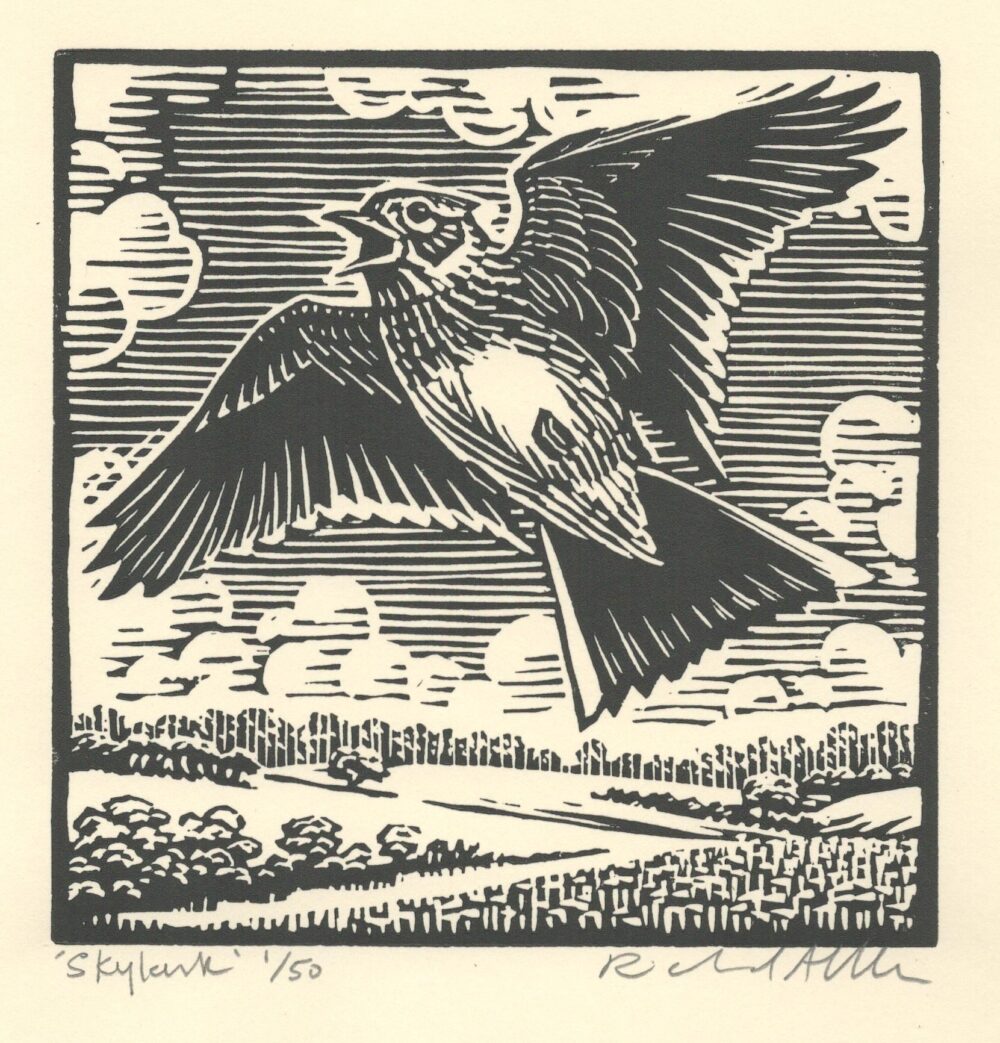 Skylark