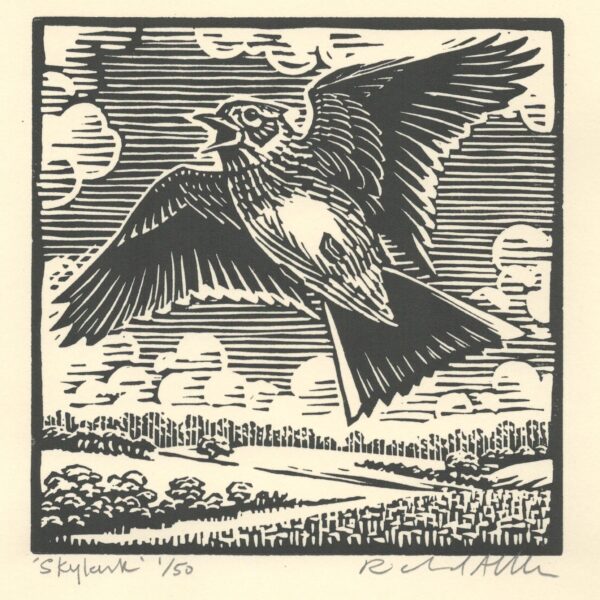 Skylark