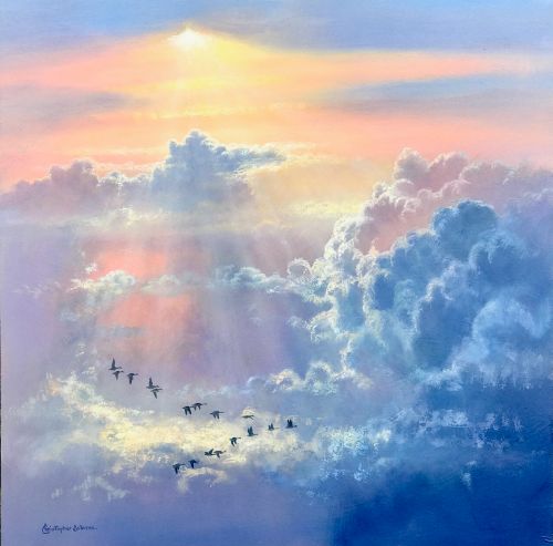 Sunlight, Clouds and Wings