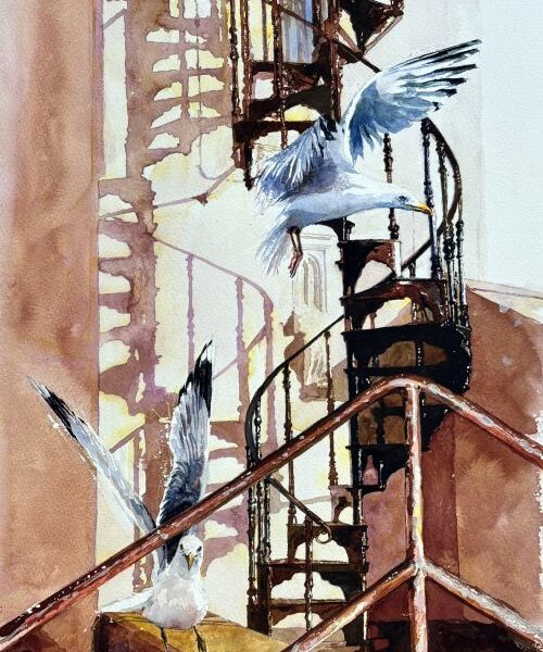 Seagulls and South Lookout