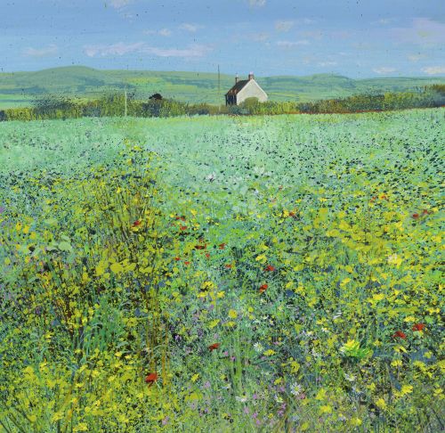 Field Flowers