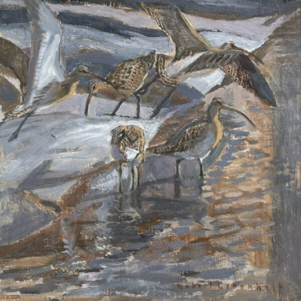 Five Curlews