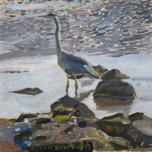 Shoreline Heron